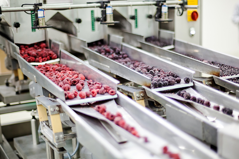 direct FOOD offers the ability to integrate communication with machines and equipment to achieve a more optimal production process. Labelling of goods is combined with printing equipment for efficient and precise identification of products in production. Flexible Manufacturing System. MES.